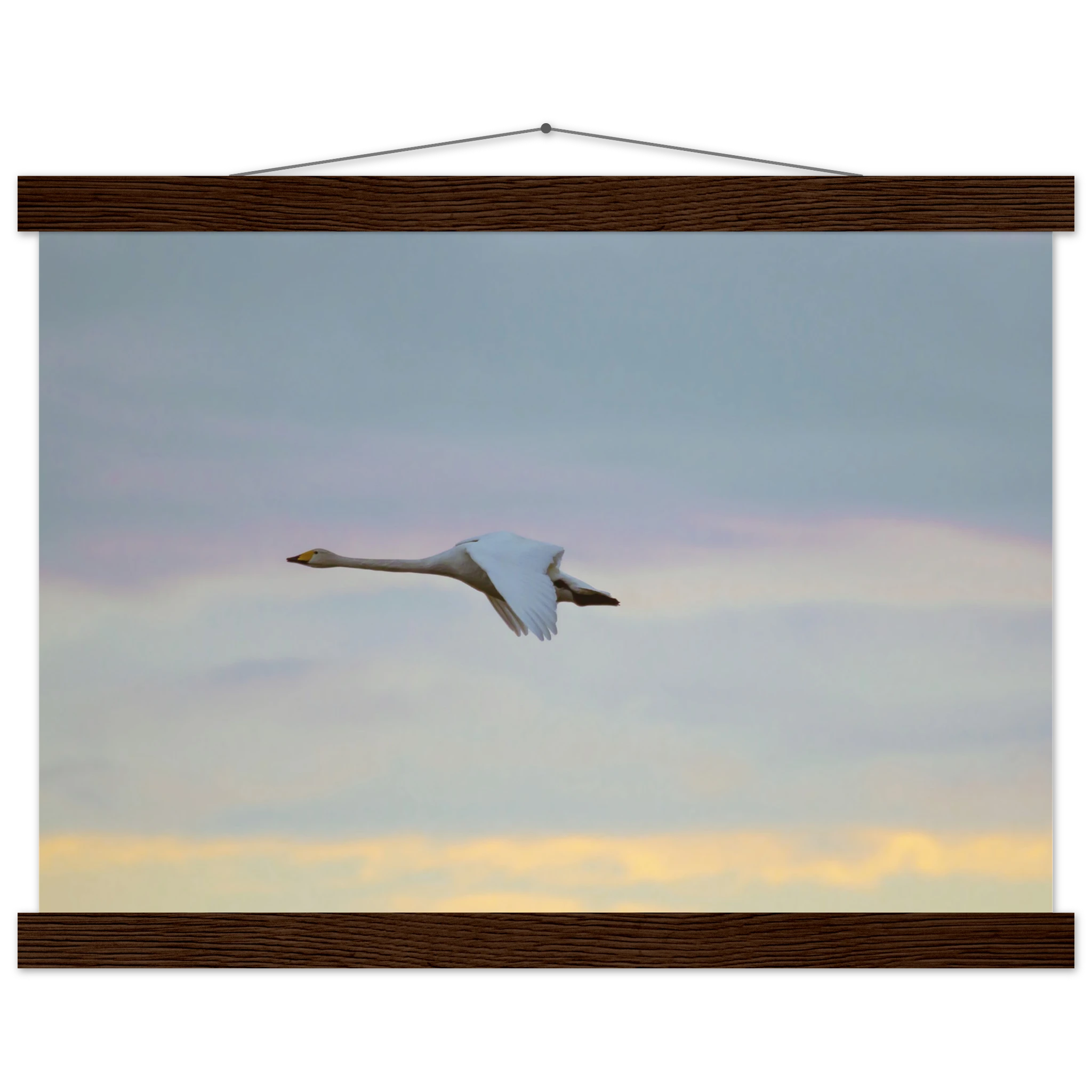 c42045df-1cbf-4b18-b872-523eb9dcf5f6