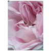 c43b8e18-cb11-4b63-b2ef-4868d38e7f15