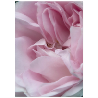 c43b8e18-cb11-4b63-b2ef-4868d38e7f15