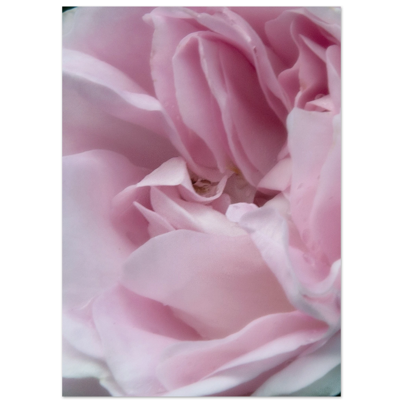 c43b8e18-cb11-4b63-b2ef-4868d38e7f15