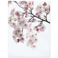 c454773b-c928-4b9f-a822-e3f2d3e14a1a