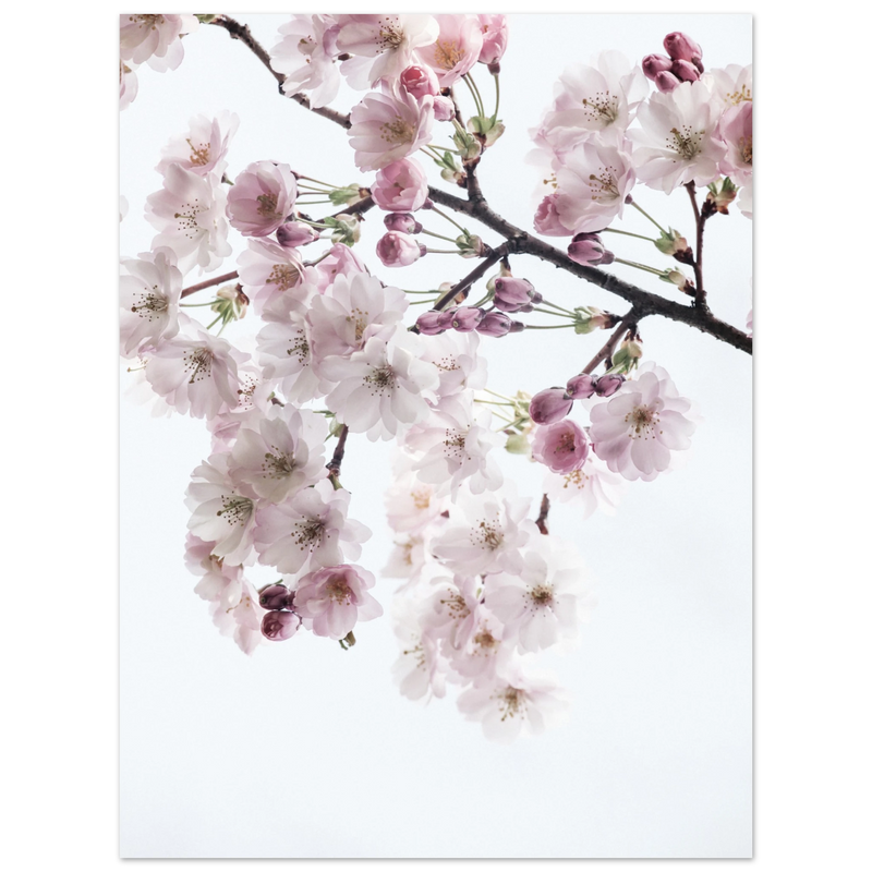 c454773b-c928-4b9f-a822-e3f2d3e14a1a