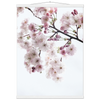 c4604b33-2289-4b11-8971-4a19ff3566ea