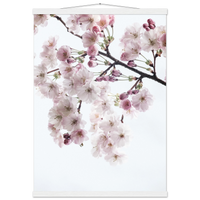 c4604b33-2289-4b11-8971-4a19ff3566ea