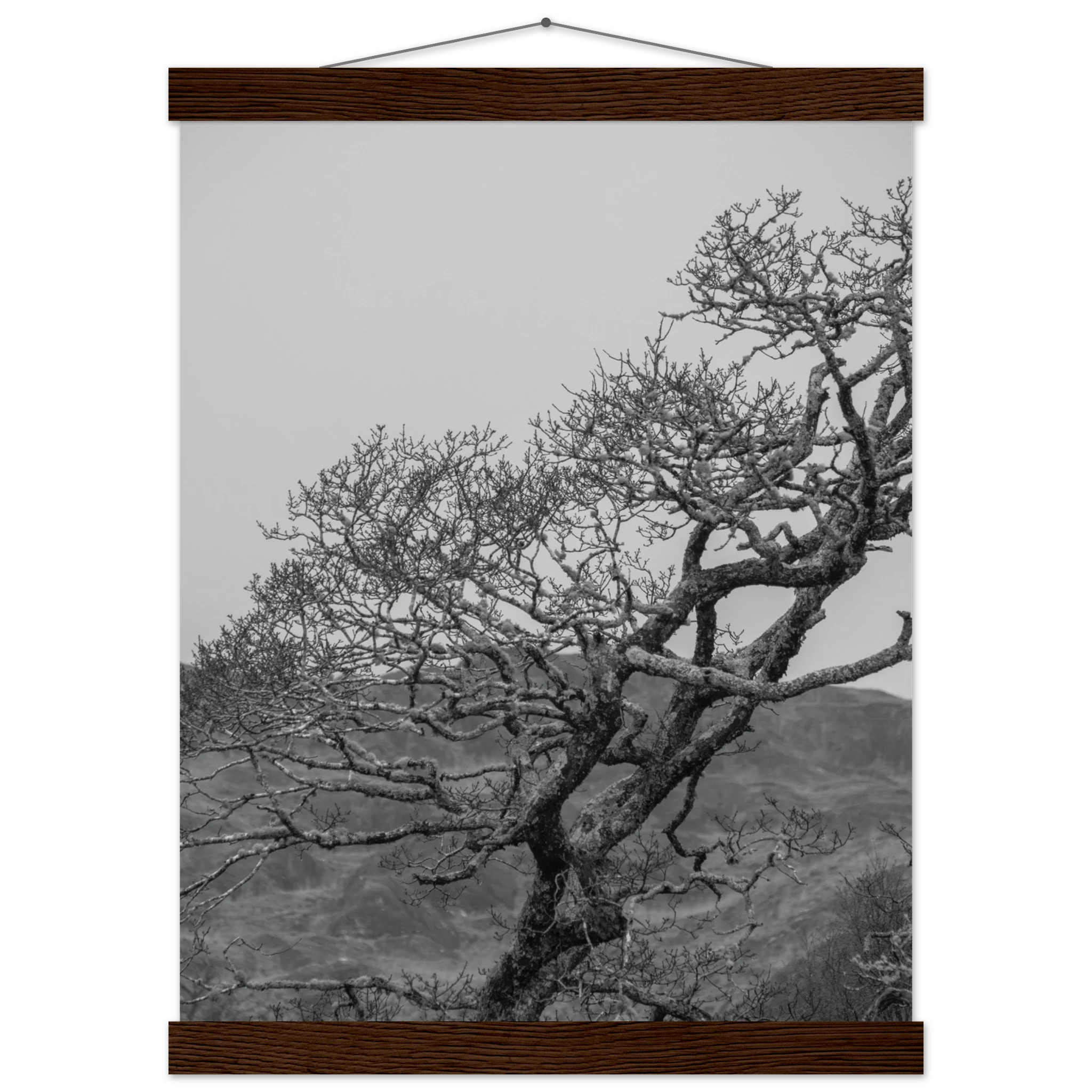 c4753793-2a64-4f60-9b21-d59706200b34