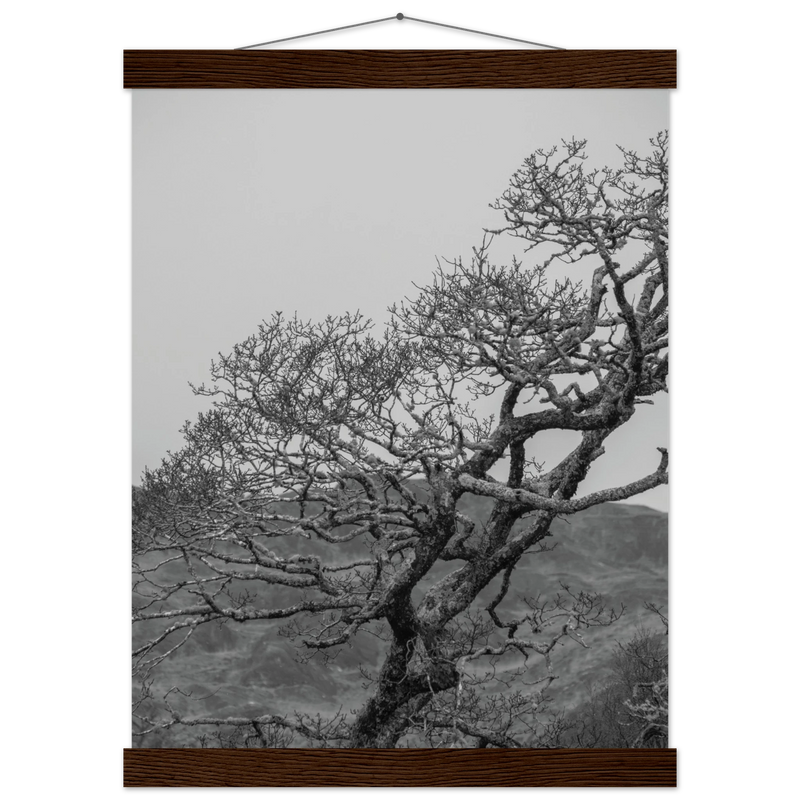 c4753793-2a64-4f60-9b21-d59706200b34