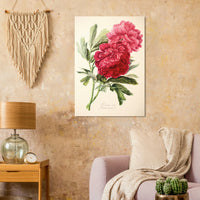 c4b91e15-1695-4114-bc4b-01b3facc5d35