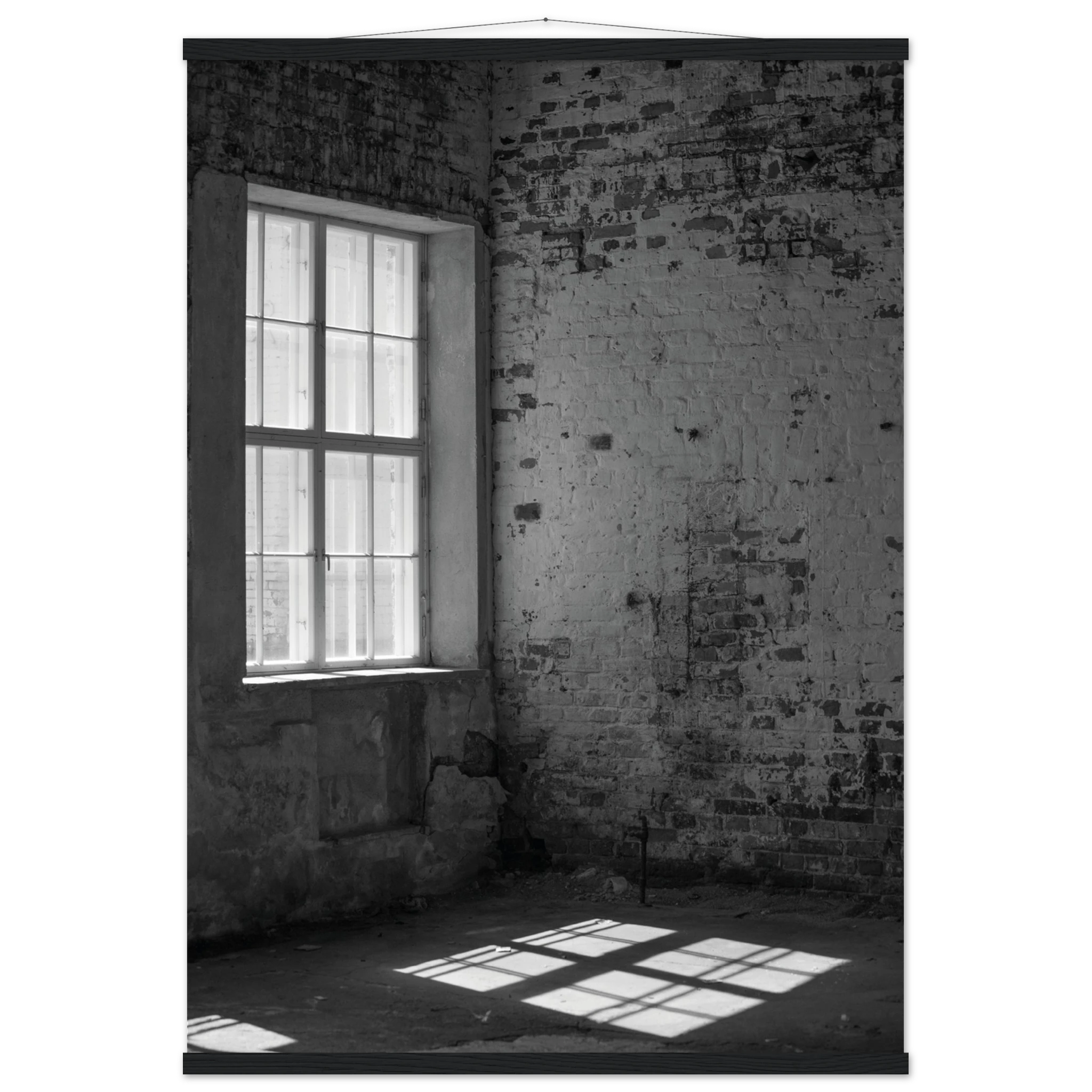 c4da7575-aa7a-4868-9674-78c39a896391