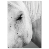 c56f66bc-f235-4a1f-bd2b-c19ba5c1fef5