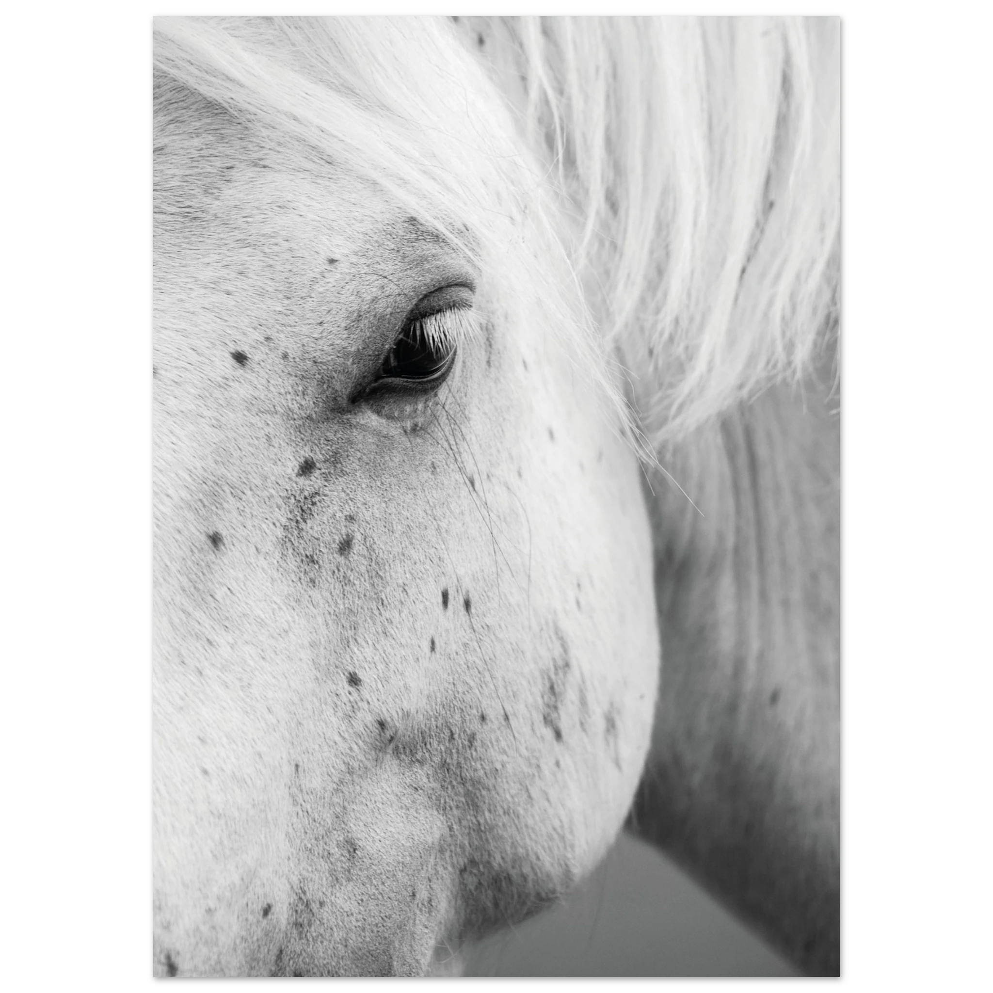 c56f66bc-f235-4a1f-bd2b-c19ba5c1fef5