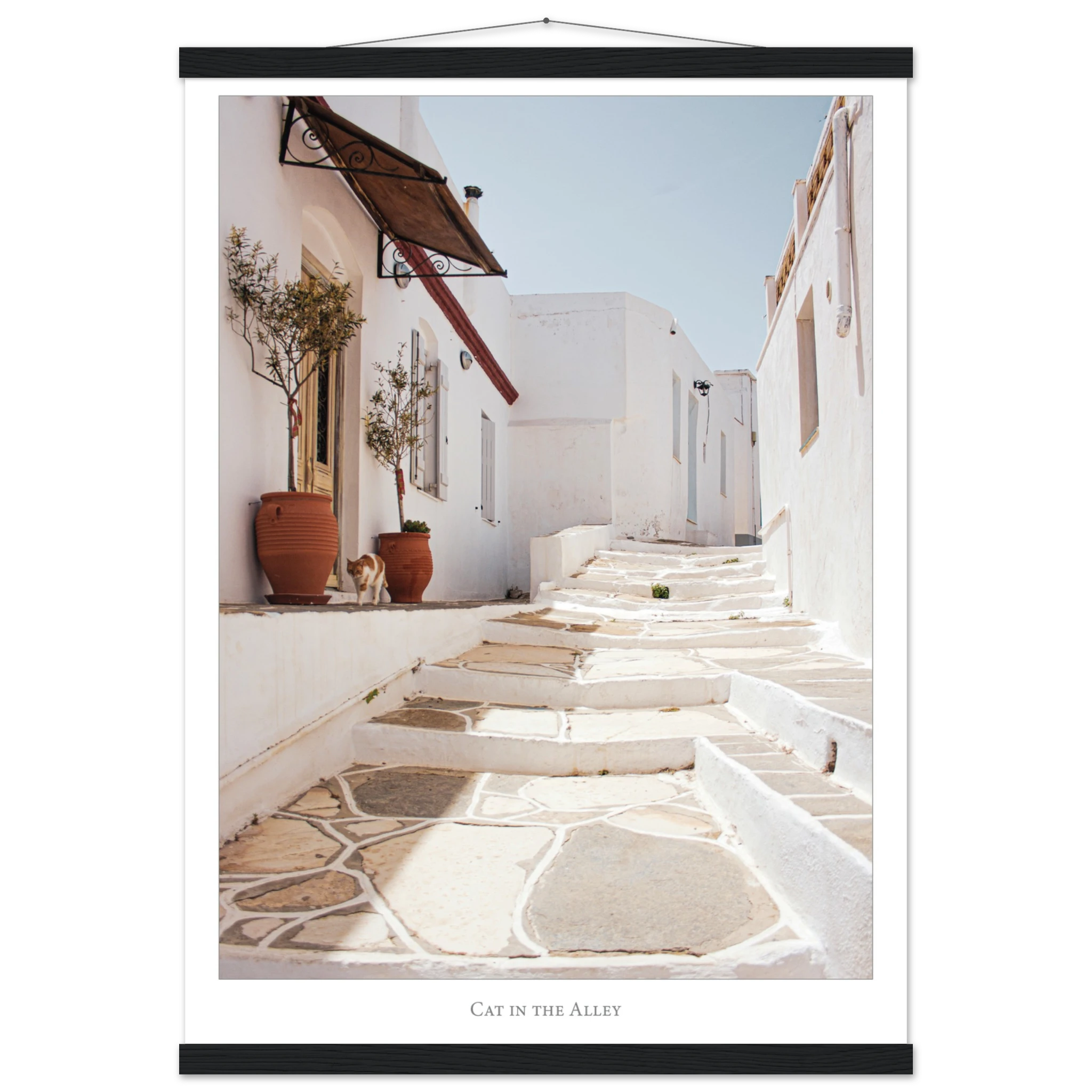 c5fc456a-c73a-483e-a5b5-3fdd6e1adcad