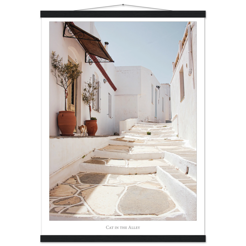 c5fc456a-c73a-483e-a5b5-3fdd6e1adcad