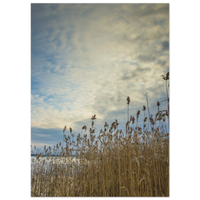 c606b355-cbfe-4bfd-b769-36841940a16d