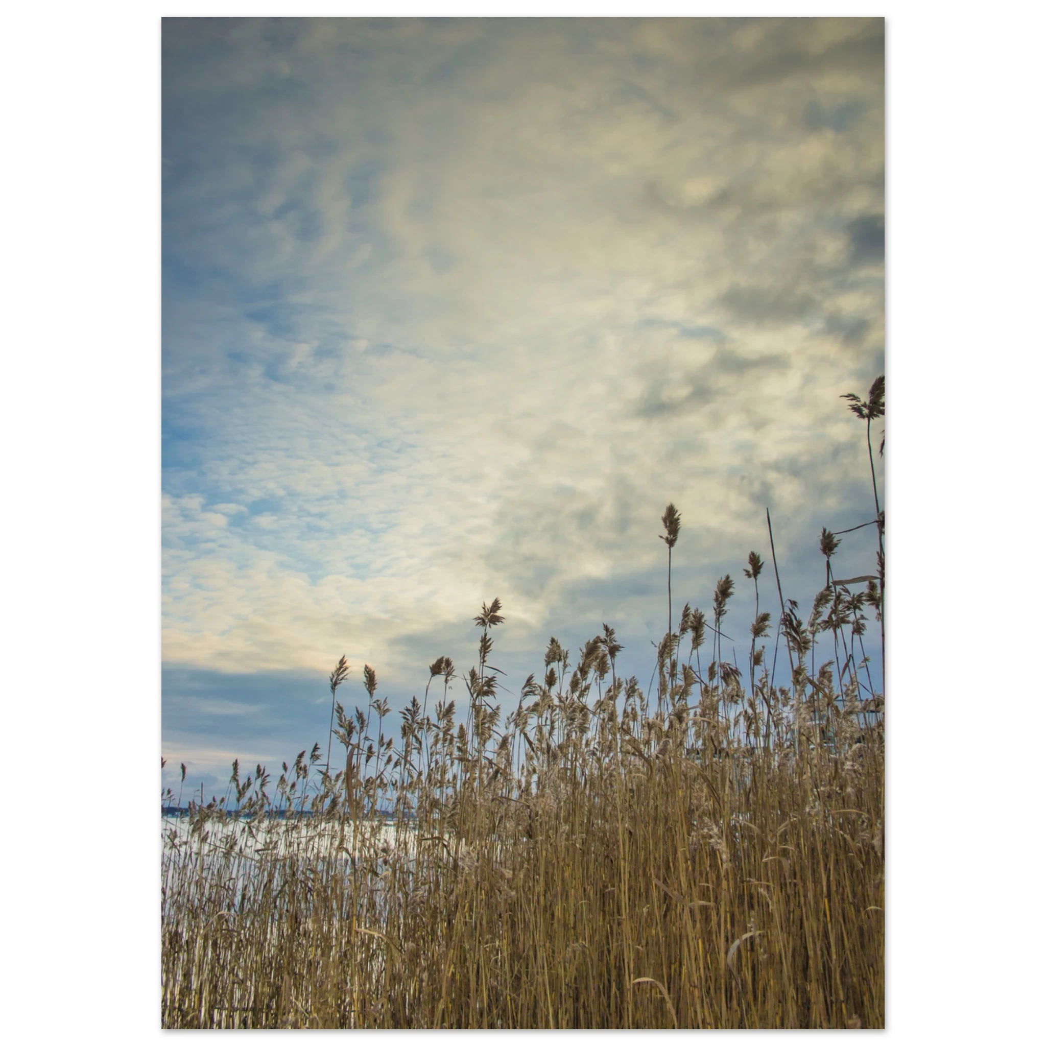 c606b355-cbfe-4bfd-b769-36841940a16d