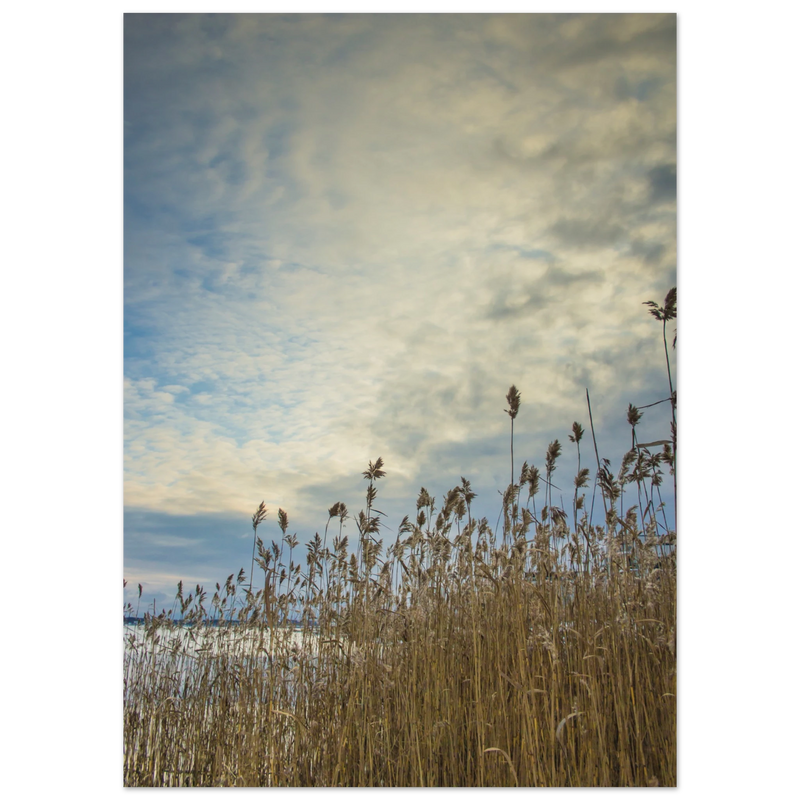 c606b355-cbfe-4bfd-b769-36841940a16d