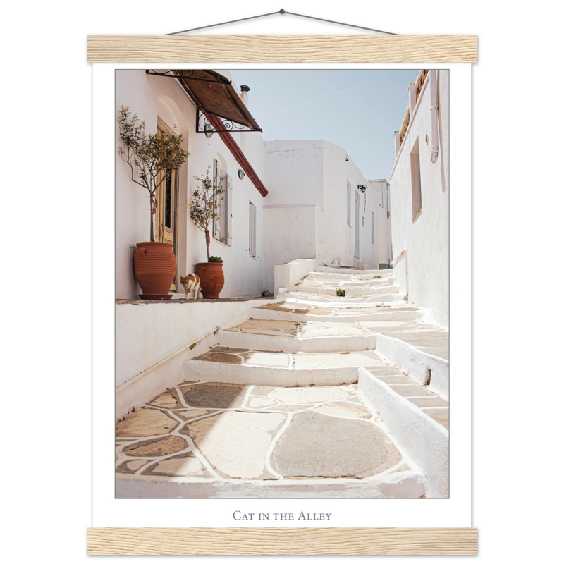 c6462b48-f4ac-4714-b30f-2e42e05464c8