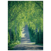 c64830b2-6101-4b8f-b941-befeb338ed01