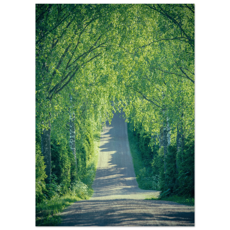 c64830b2-6101-4b8f-b941-befeb338ed01