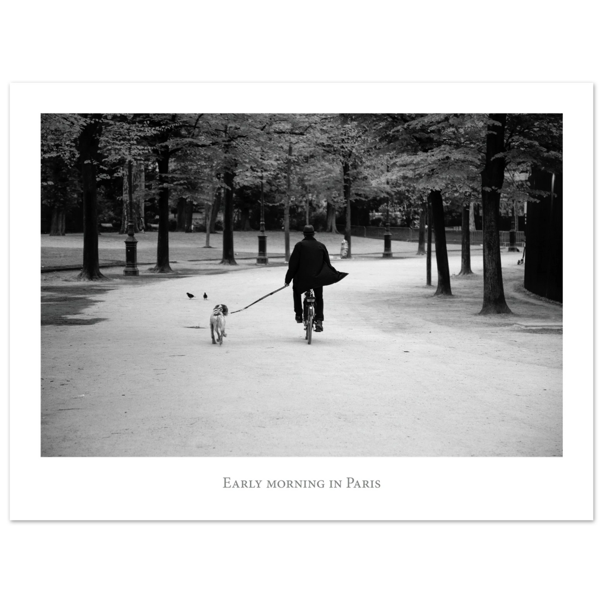 c6eb186d-b9ce-4084-8d0d-3e23abf43730