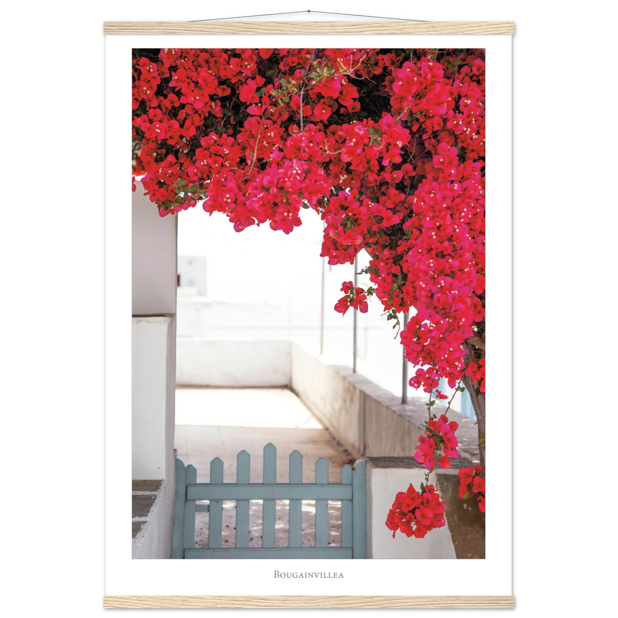 c84f4df5-614e-4a63-9d8f-afec02509225