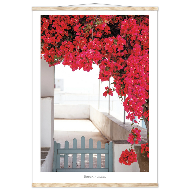 c84f4df5-614e-4a63-9d8f-afec02509225