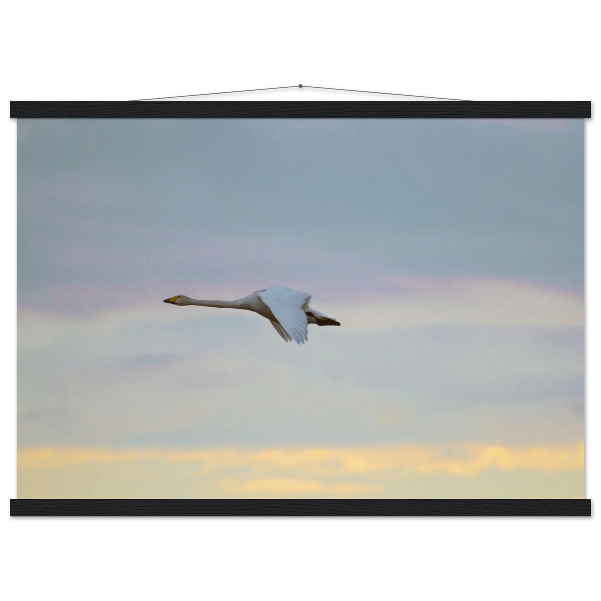 c96048fe-d797-4962-9daf-59f6e6f9d8d1