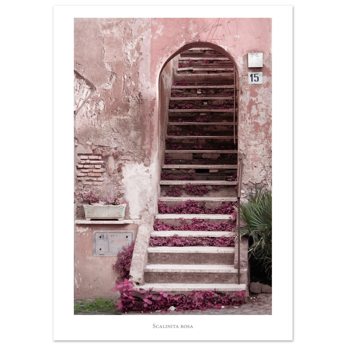 ca1c1d79-3f7b-4b0c-abe5-bfd63c926989