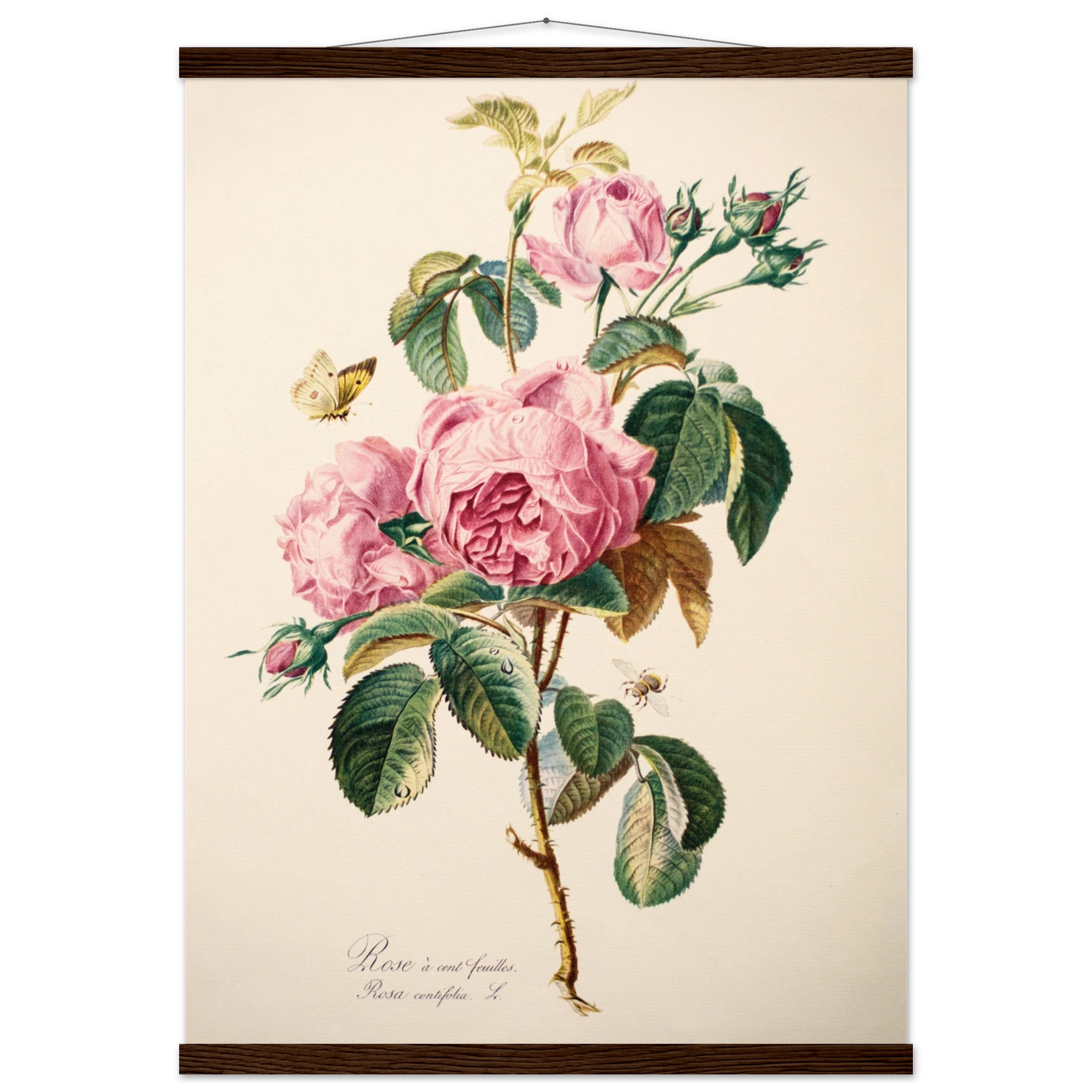 ca4e7af1-7ffd-45ab-95a7-8787481735e2