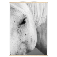 caad81b7-f5e3-4ea8-b204-223c74c92aed