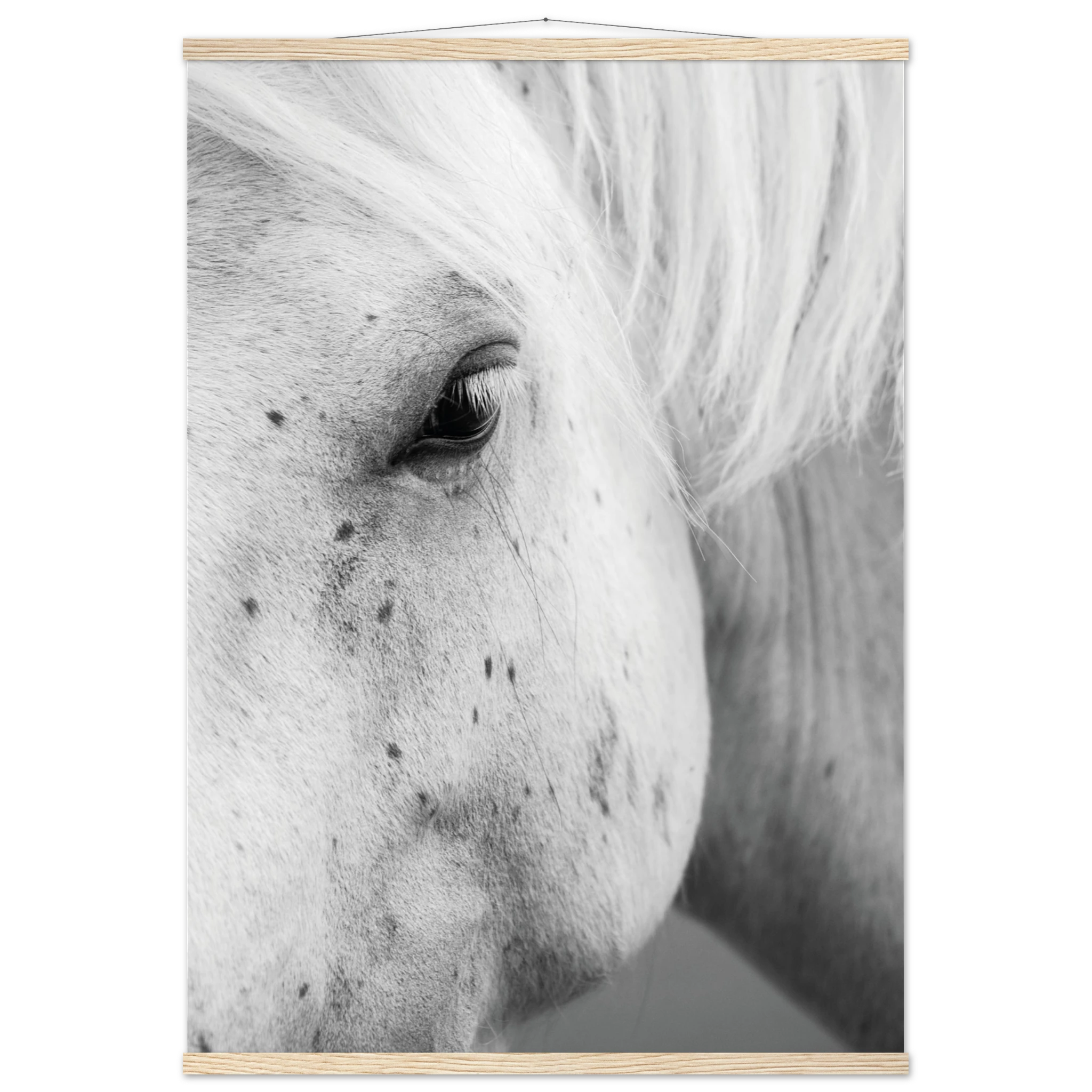 caad81b7-f5e3-4ea8-b204-223c74c92aed