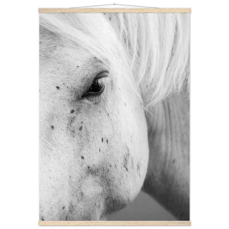 caad81b7-f5e3-4ea8-b204-223c74c92aed