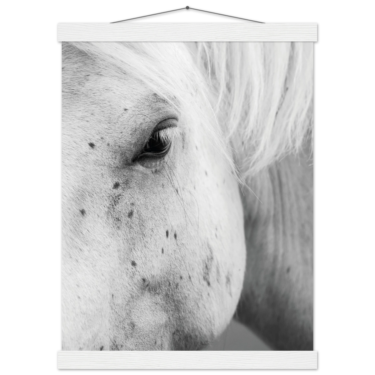 cab5013c-fb2c-4515-a58e-2bb7d255aa6d