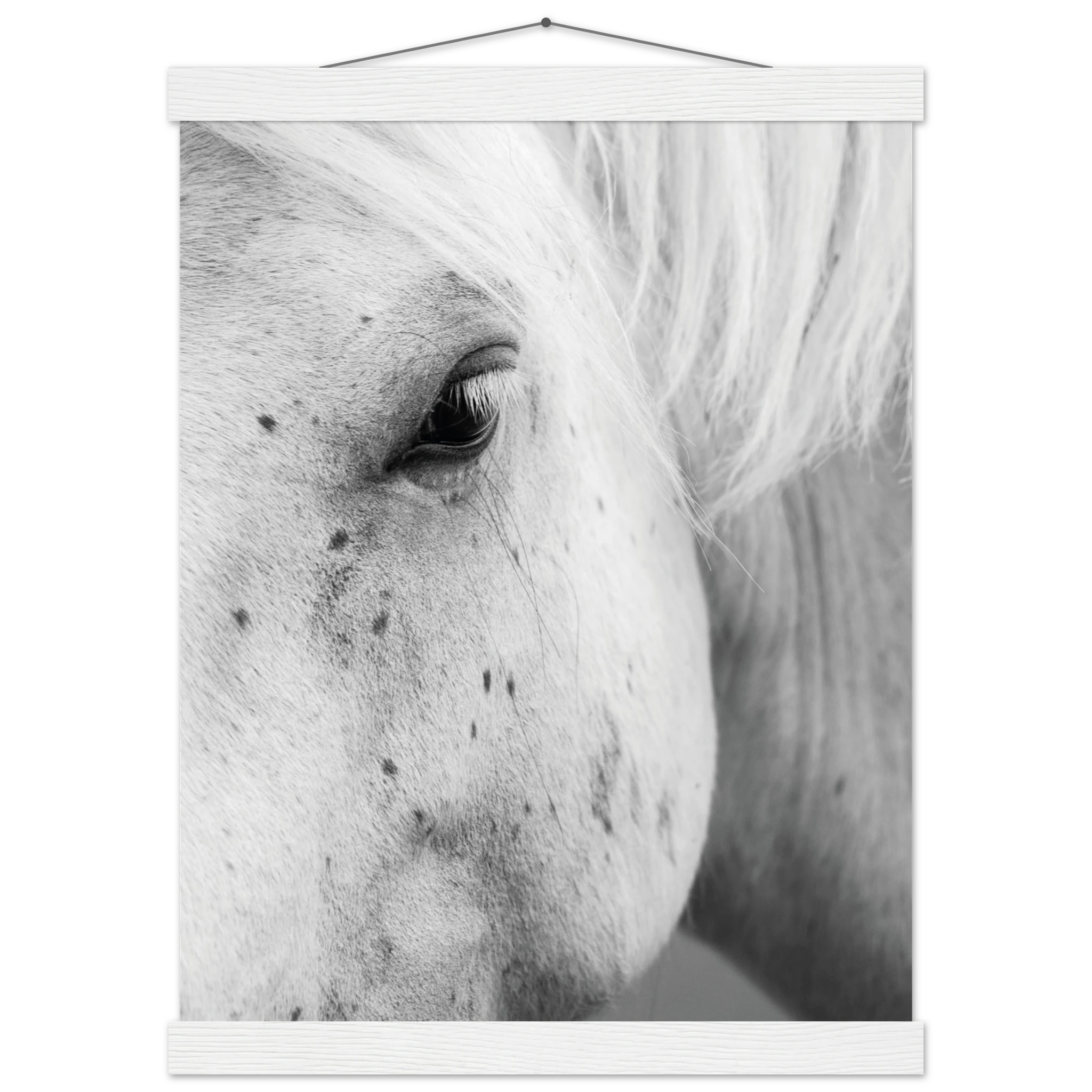 cab5013c-fb2c-4515-a58e-2bb7d255aa6d