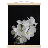 cad718bd-d6bf-481d-816a-f591079ccde1