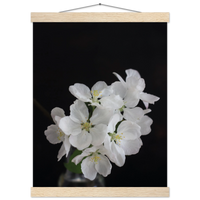cad718bd-d6bf-481d-816a-f591079ccde1