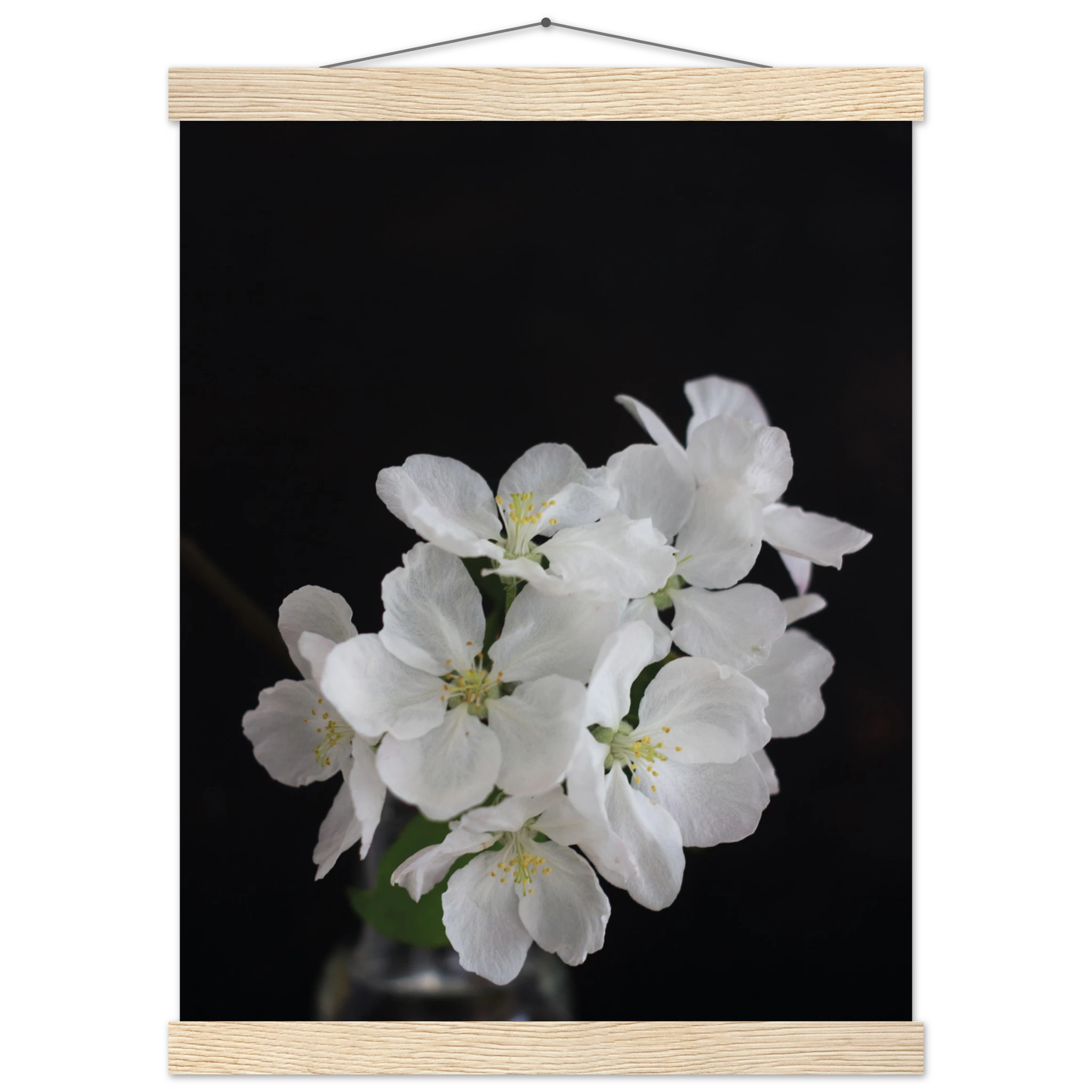 cad718bd-d6bf-481d-816a-f591079ccde1