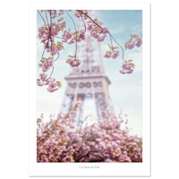 cbcbe9e9-1688-46af-875b-901925036482