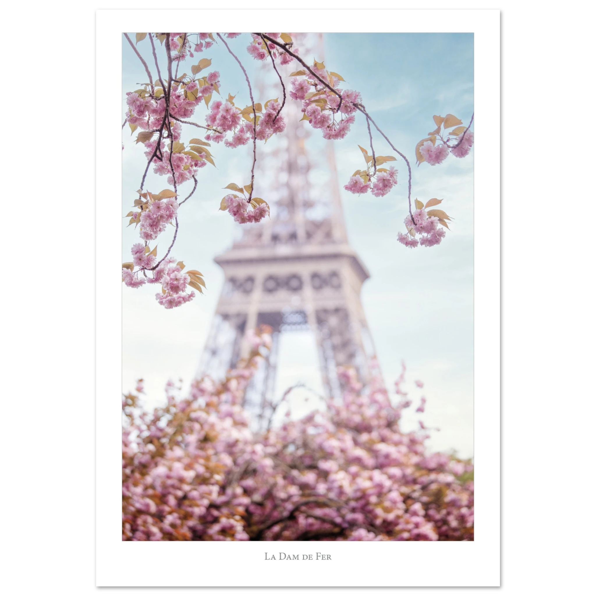 cbcbe9e9-1688-46af-875b-901925036482