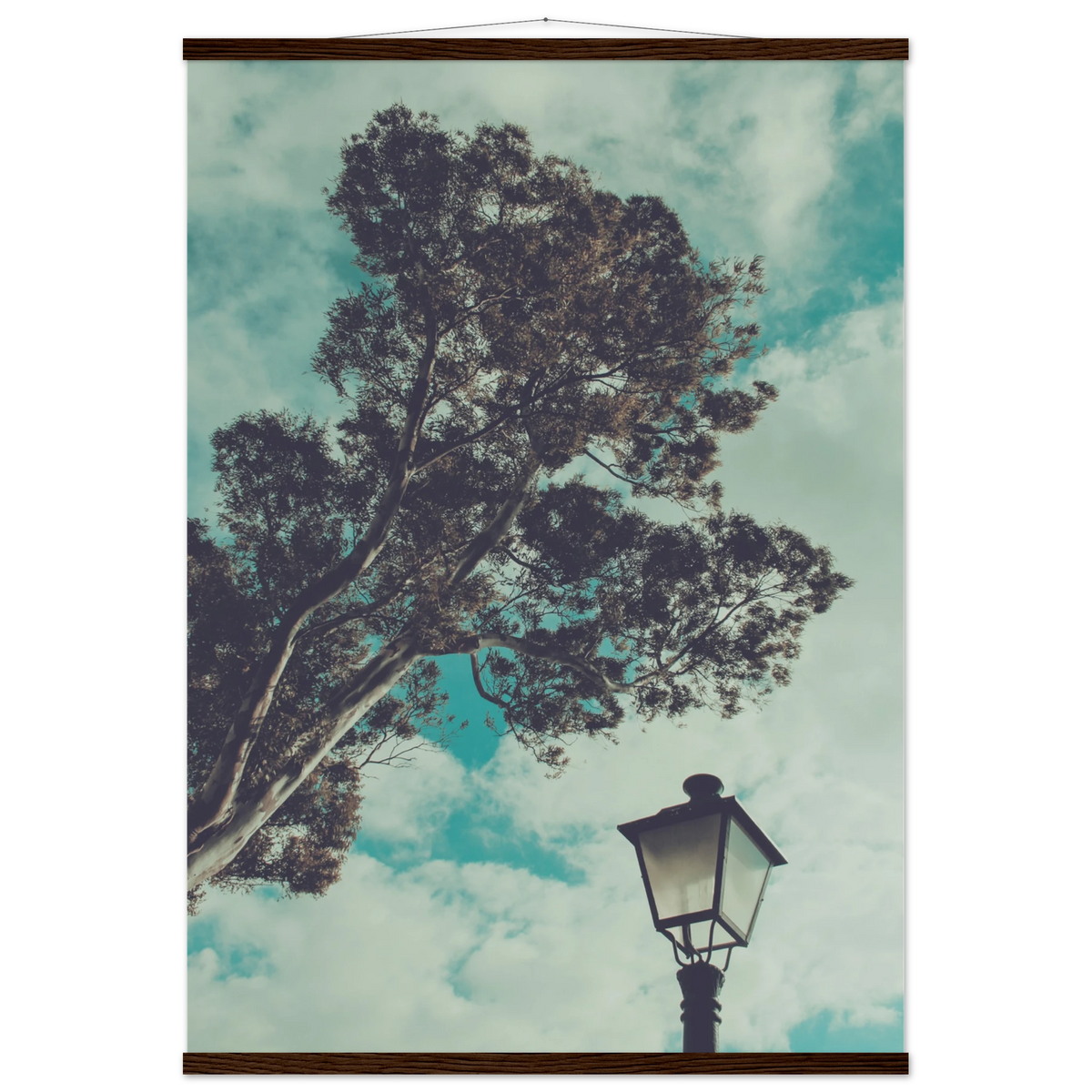 cbcf3852-b913-46b7-8a55-bce824966f7f