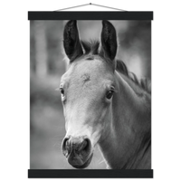 ccb5c179-e05c-4192-bbe1-33f72dbc45ea