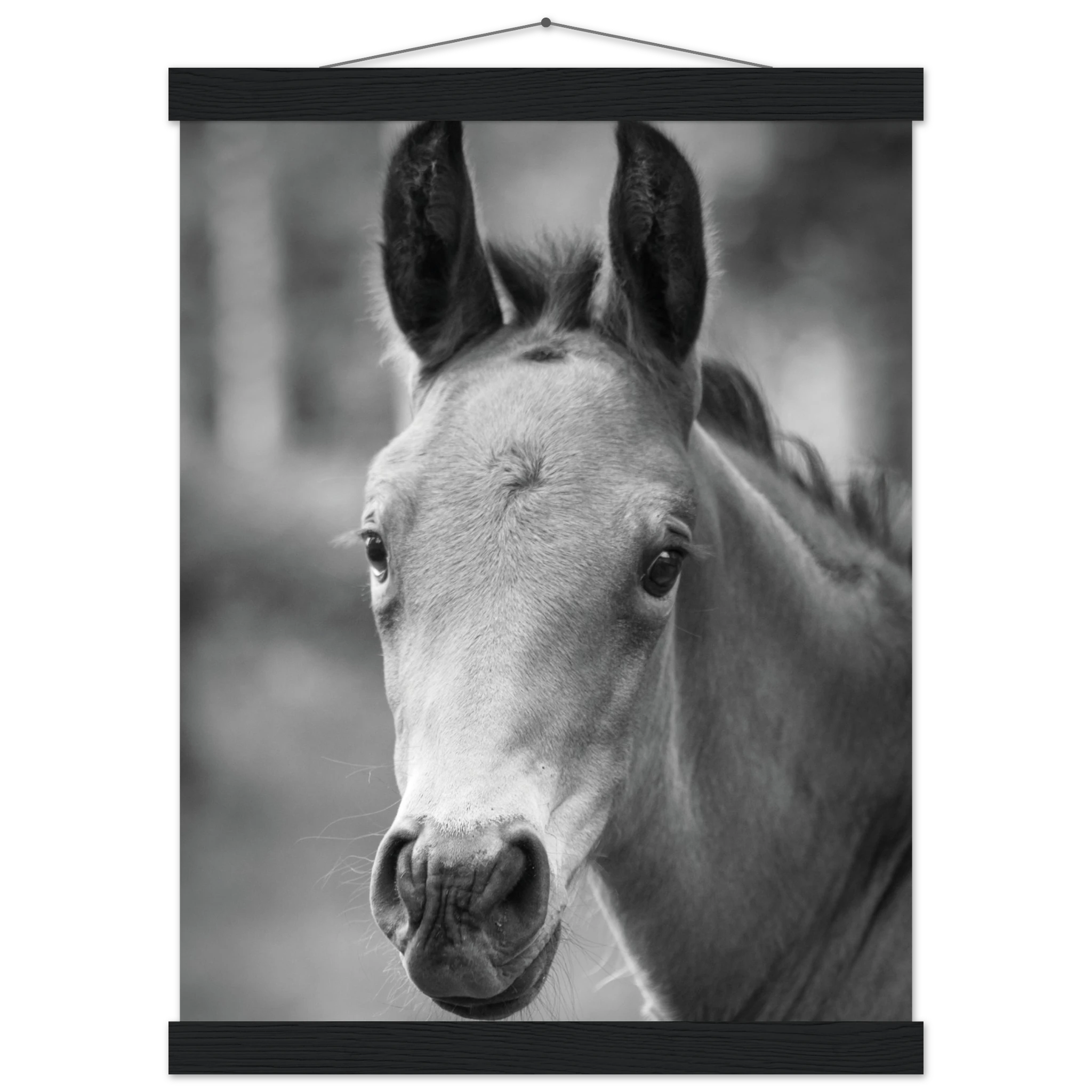 ccb5c179-e05c-4192-bbe1-33f72dbc45ea