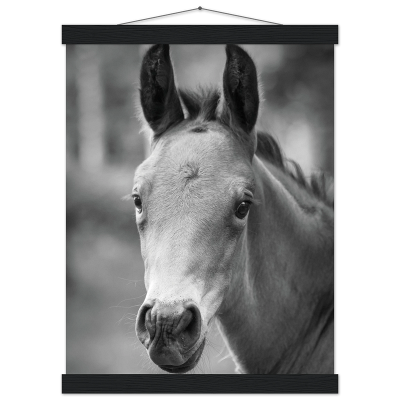 ccb5c179-e05c-4192-bbe1-33f72dbc45ea