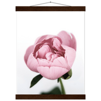 ccd12c99-47af-48dd-8db9-ba05265e170c