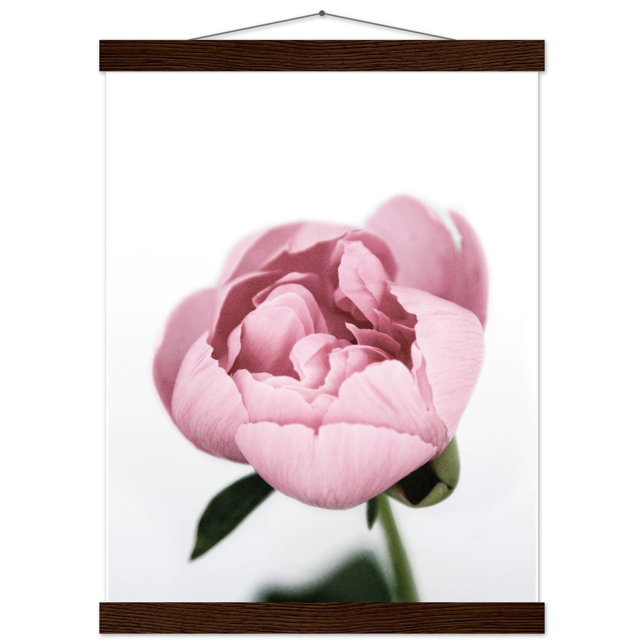 ccd12c99-47af-48dd-8db9-ba05265e170c