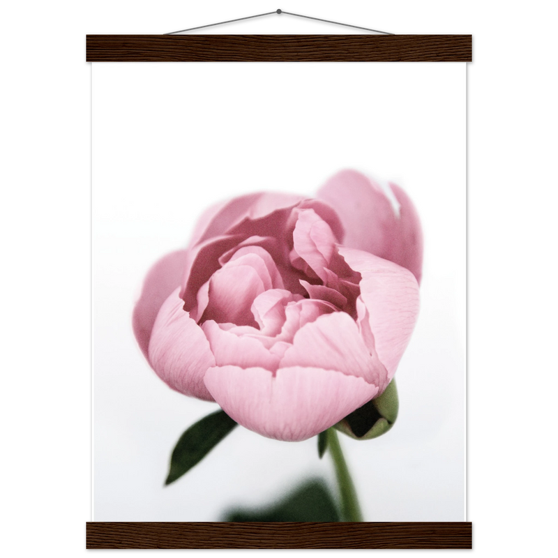 ccd12c99-47af-48dd-8db9-ba05265e170c