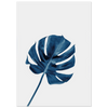 cce6206c-566f-4860-9e04-3603fbdfe53e