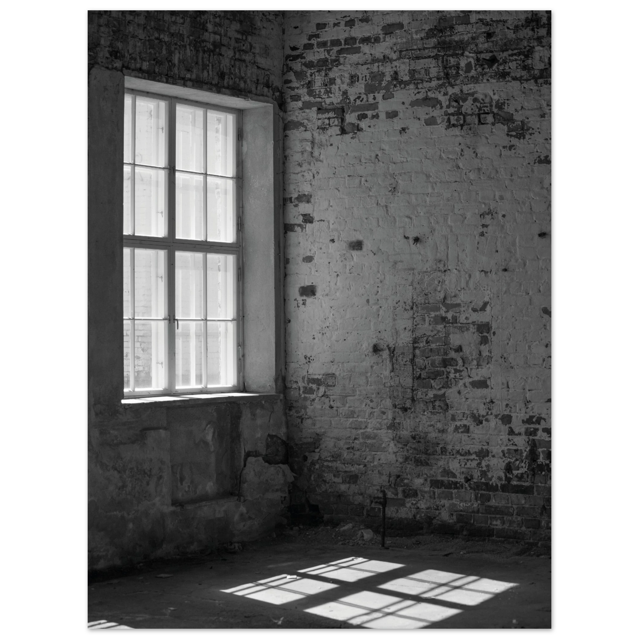 cd6908f4-06a8-4ac5-b585-3c8347489e6b