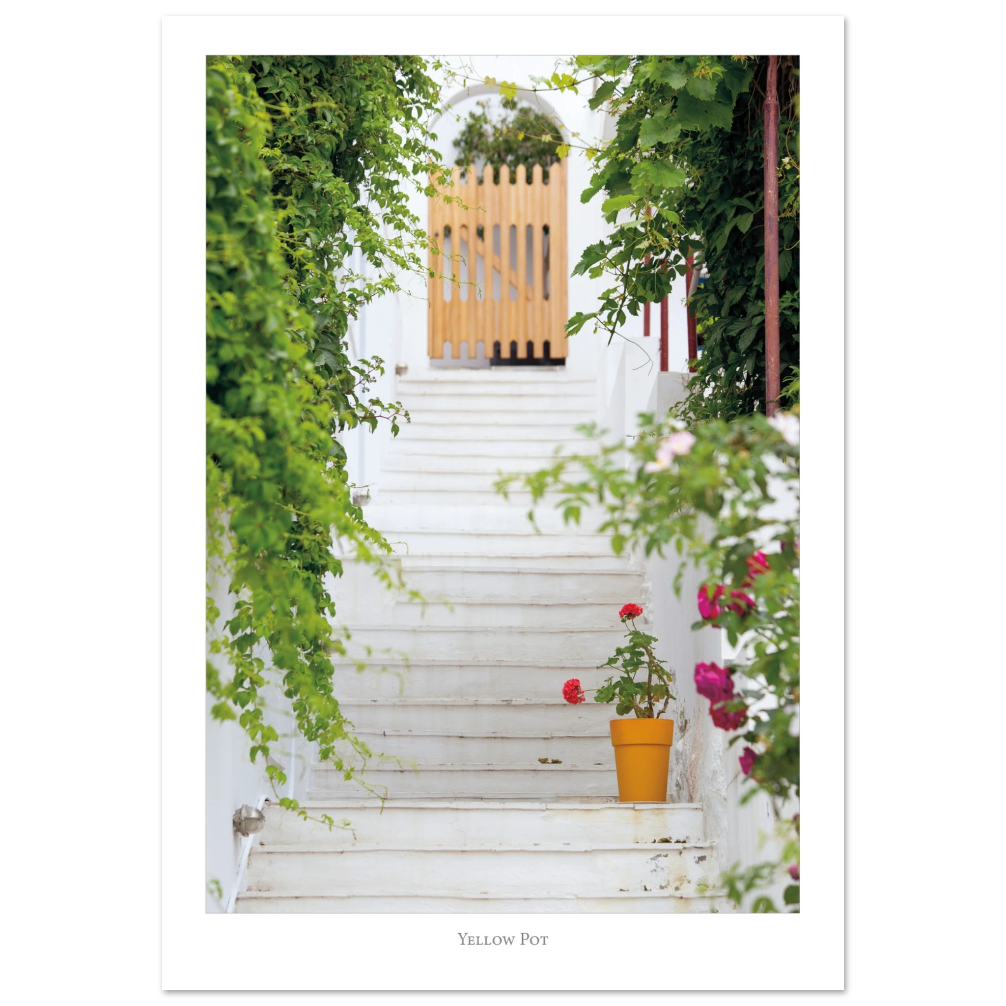 cd9ce529-5a5c-4014-84e4-e64c49c03366