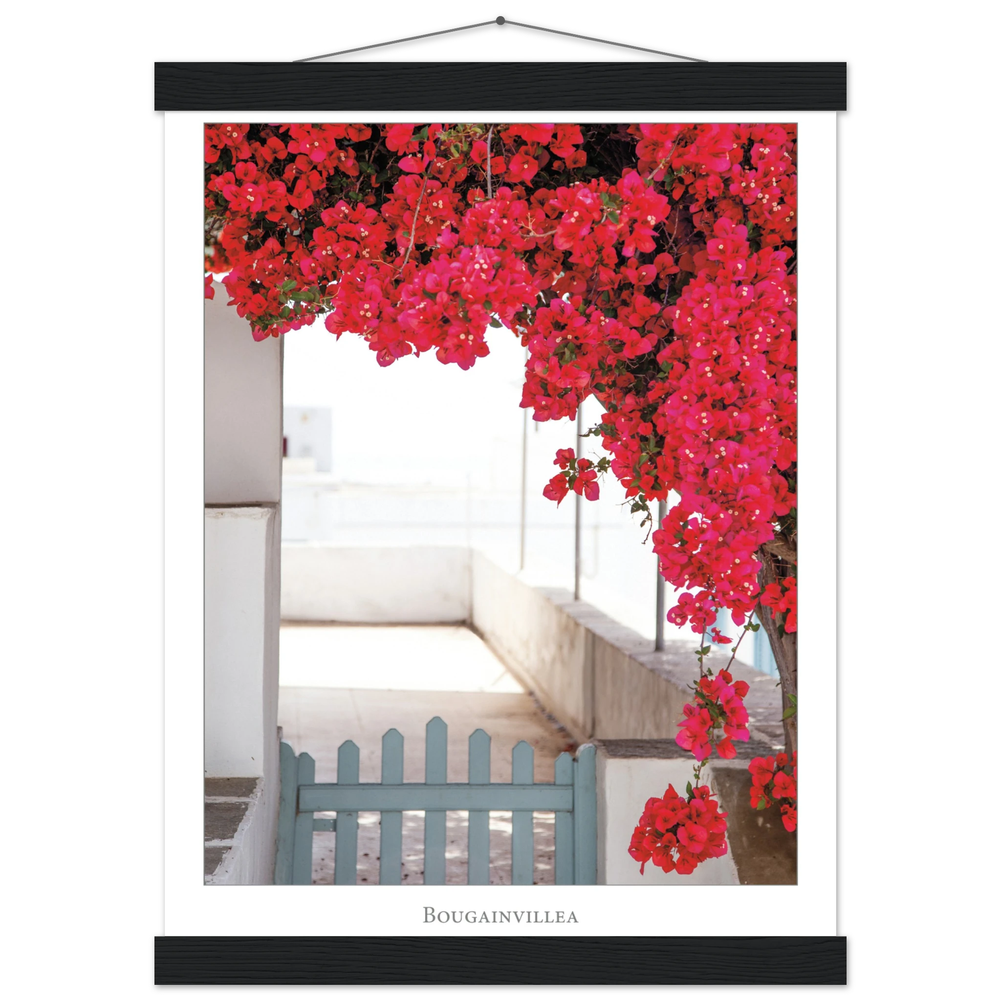 cde97f75-aceb-43c5-8b58-f9871e1f8ce8