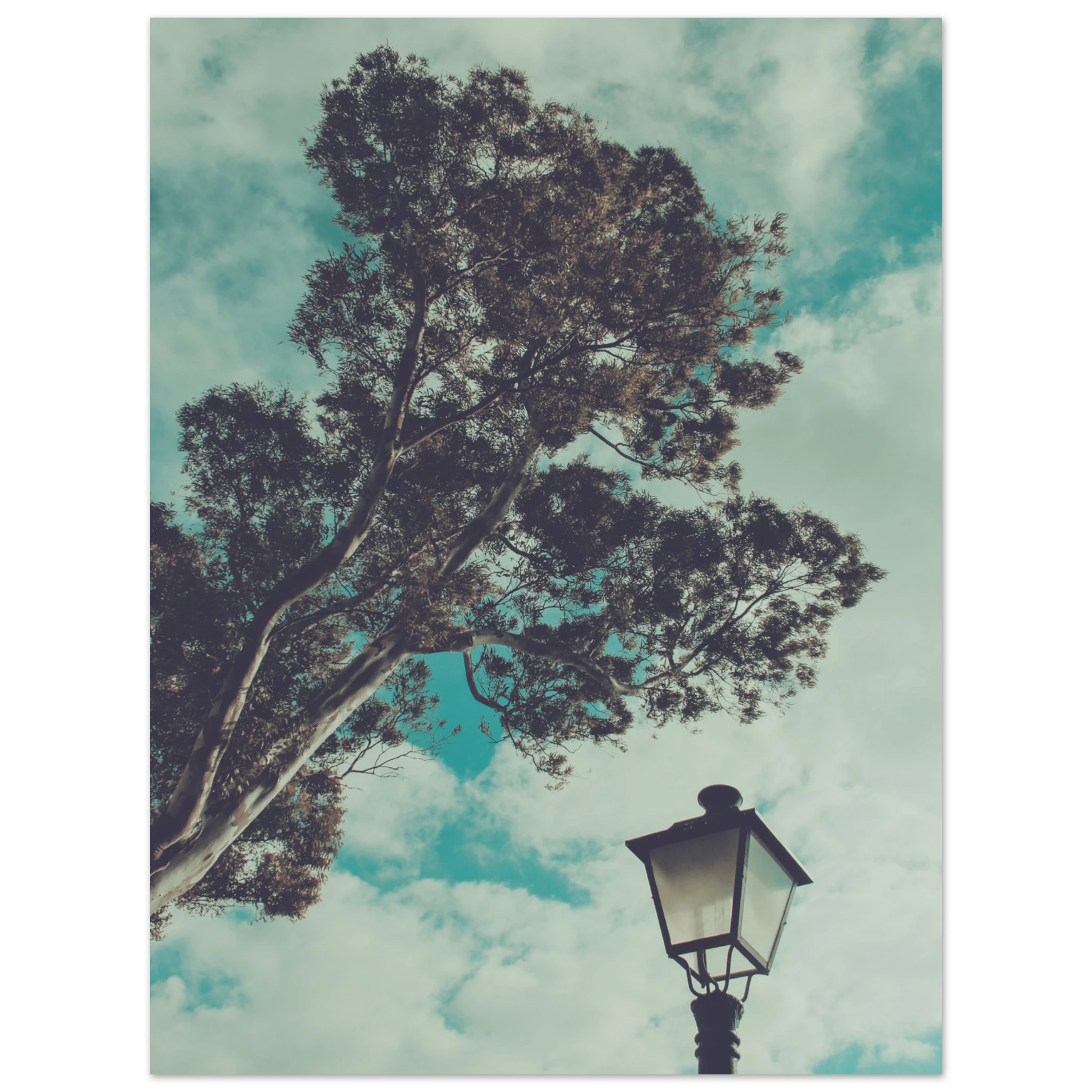 ce9fddf4-2733-4075-9315-708f6322bcf2